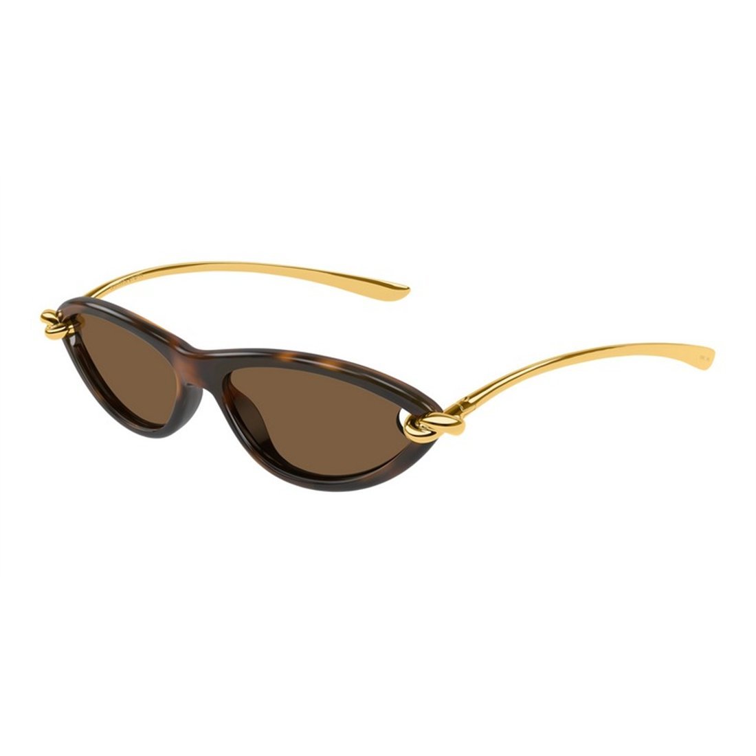 BOTTEGA VENETA Injectate Women’s Sunglasses - BV1390S