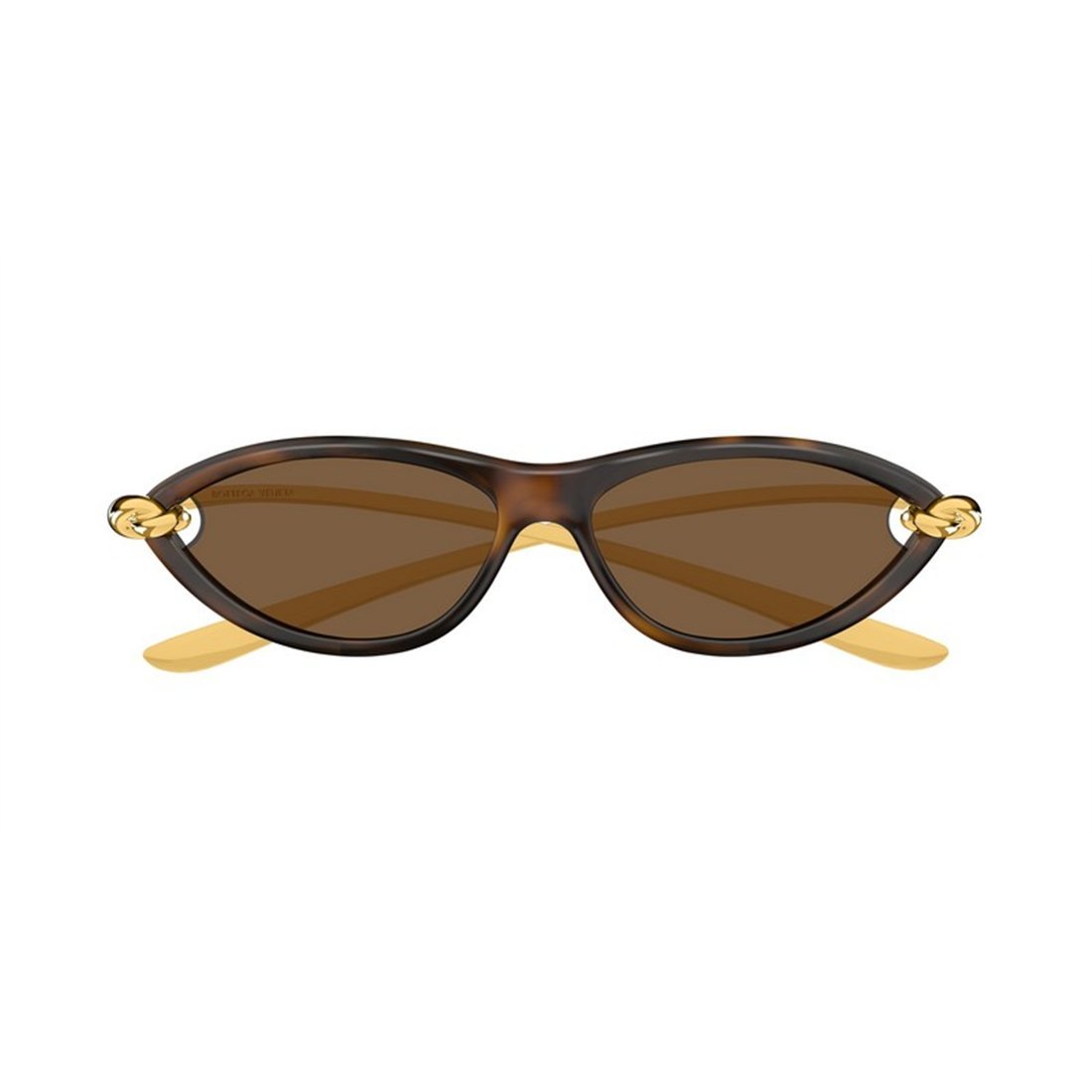 BOTTEGA VENETA Injectate Women’s Sunglasses - BV1390S