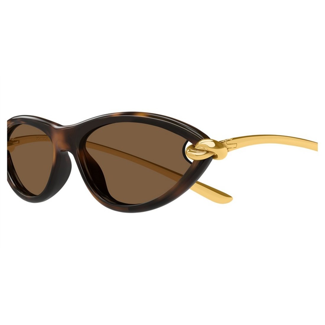BOTTEGA VENETA Injectate Women’s Sunglasses - BV1390S