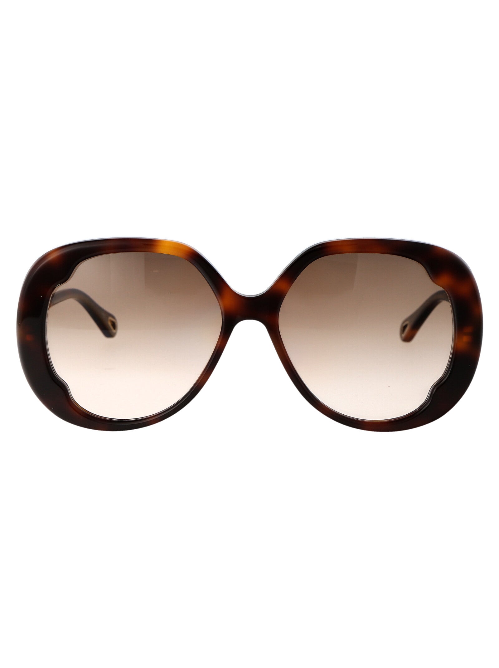 CHLOÉ Chic Acetate Sunglasses for Women - SS25 Collection
