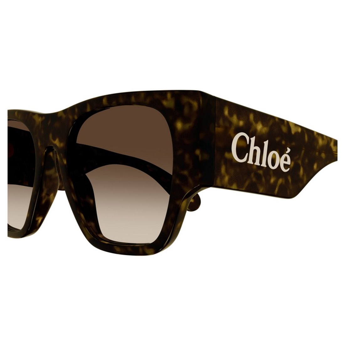 CHLOÉ Stylish Women’s Sunglasses