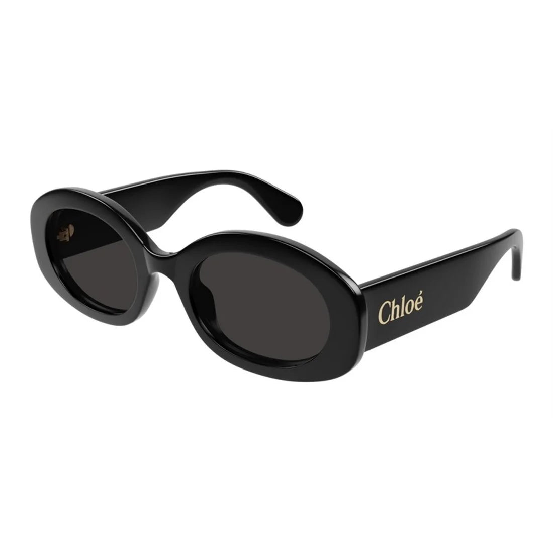 CHLOÉ Elegant Acetate Sunglasses for Women - Style CH0258S