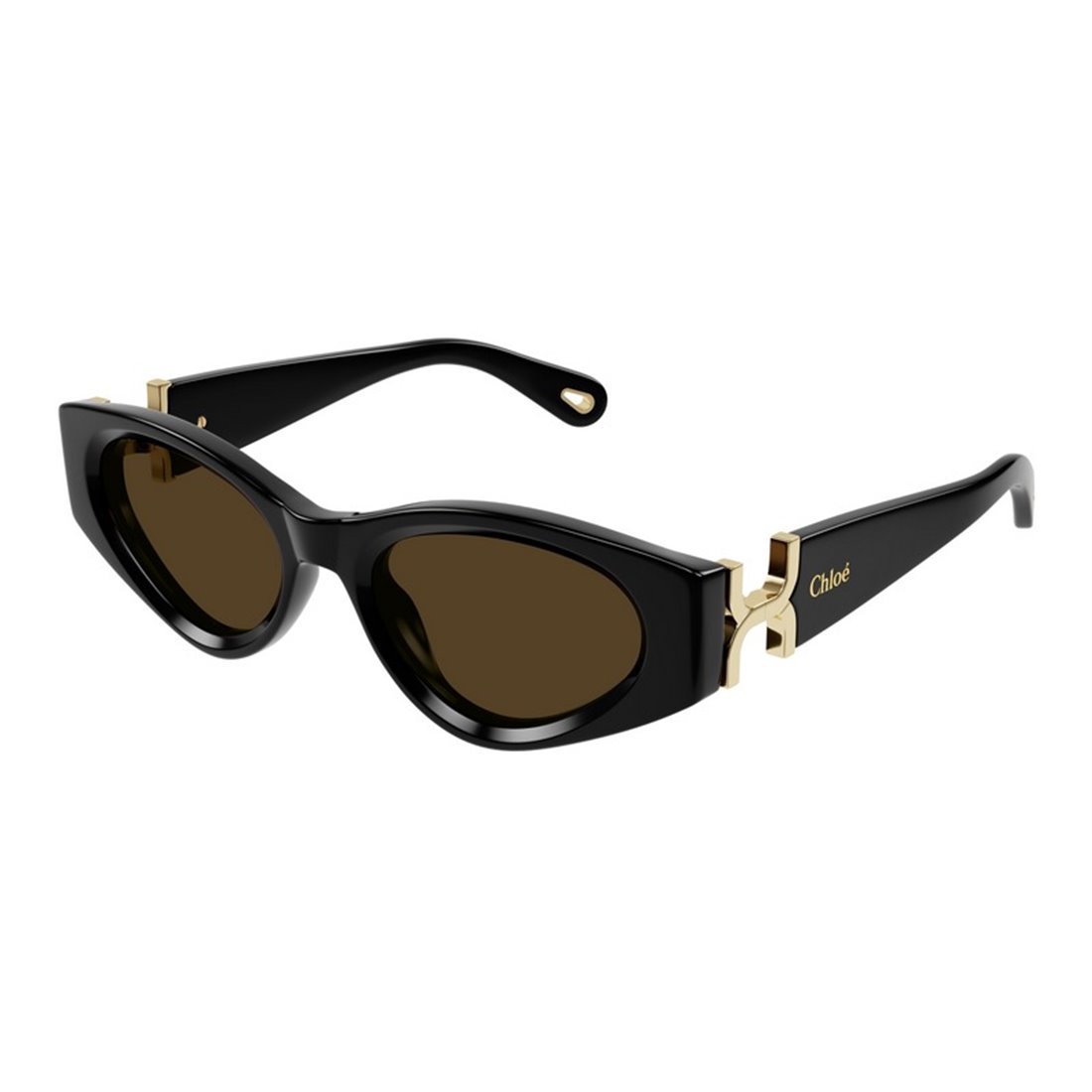 CHLOÉ Chic Retro Sunglasses for Women - Perfect for Every Occasion