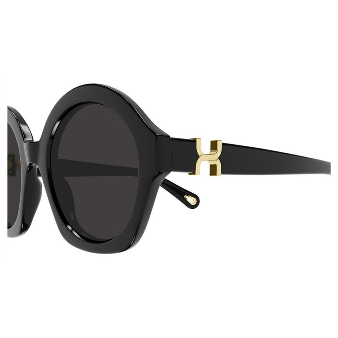 CHLOÉ Chic Women’s Sunglasses