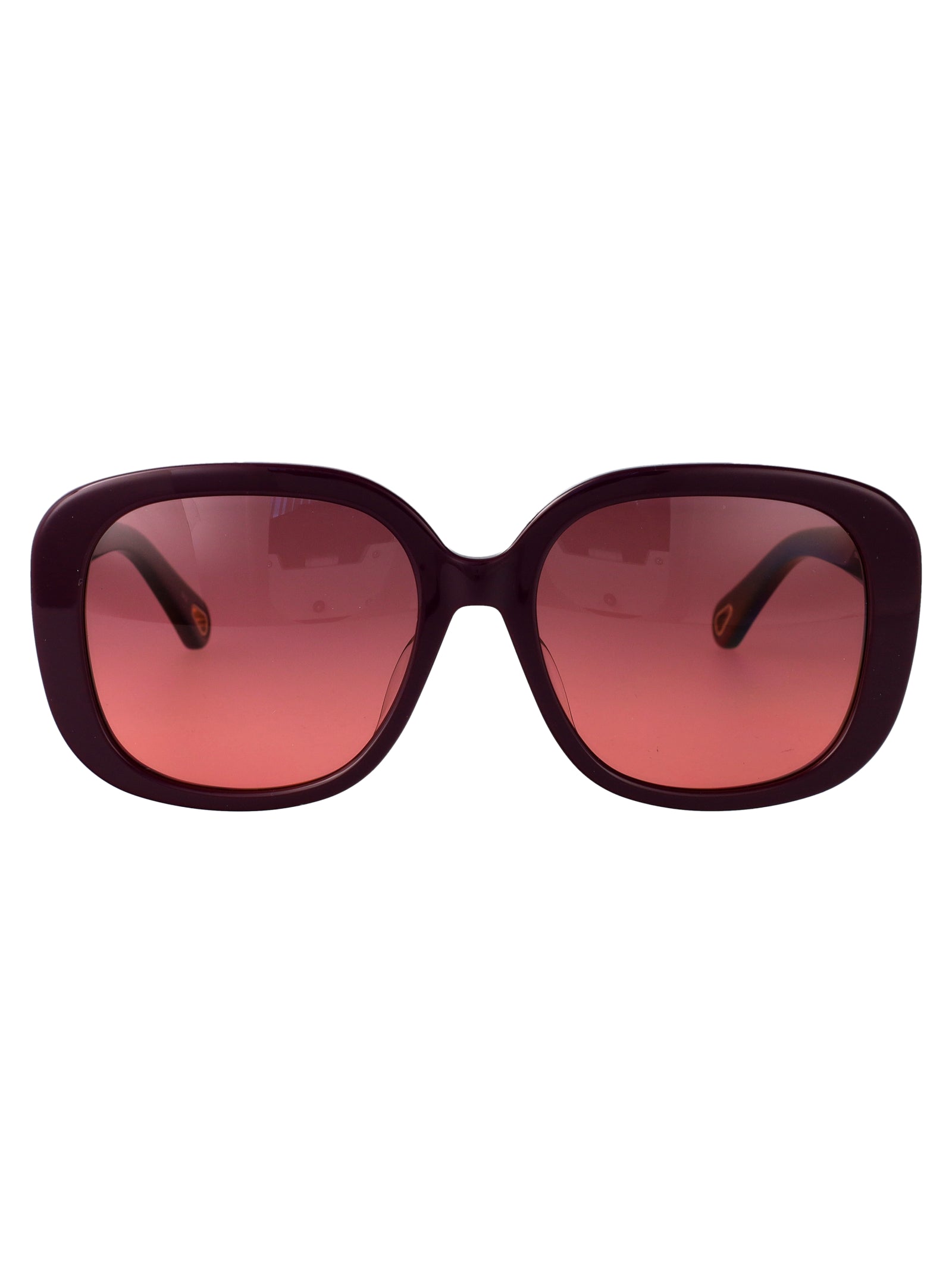 CHLOÉ Acetate Sunglasses for Women - SS25 Collection