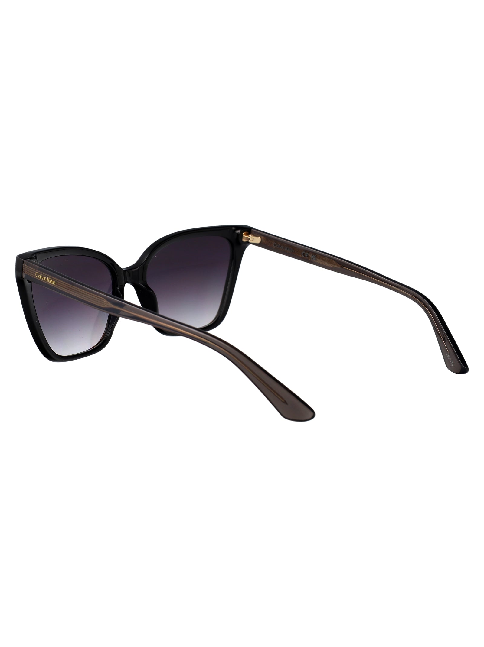 CALVIN KLEIN Acetate Sunglasses for Women - CK24507S Model