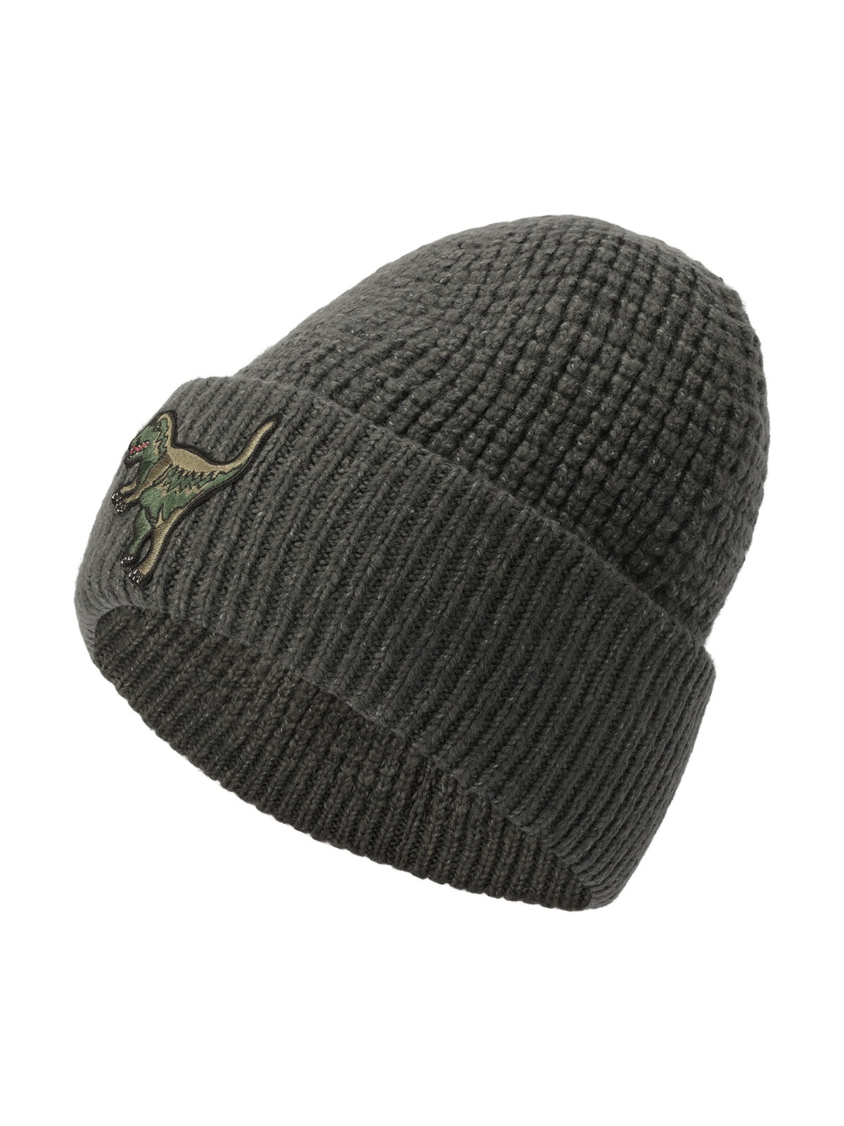 COACH Rexy Patch Thermal Beanie