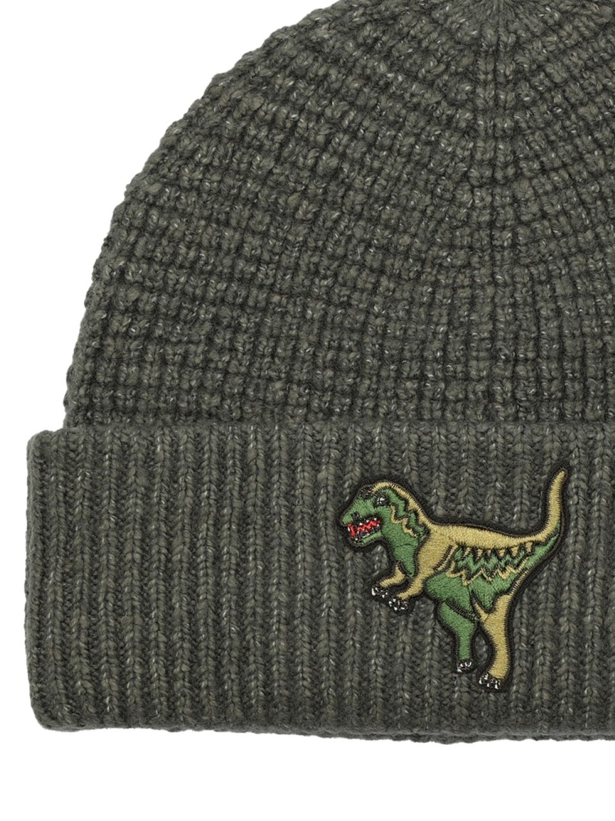 COACH Rexy Patch Thermal Beanie