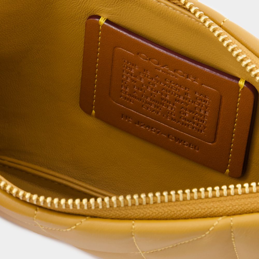 COACH Crossbody Pouch Handbag