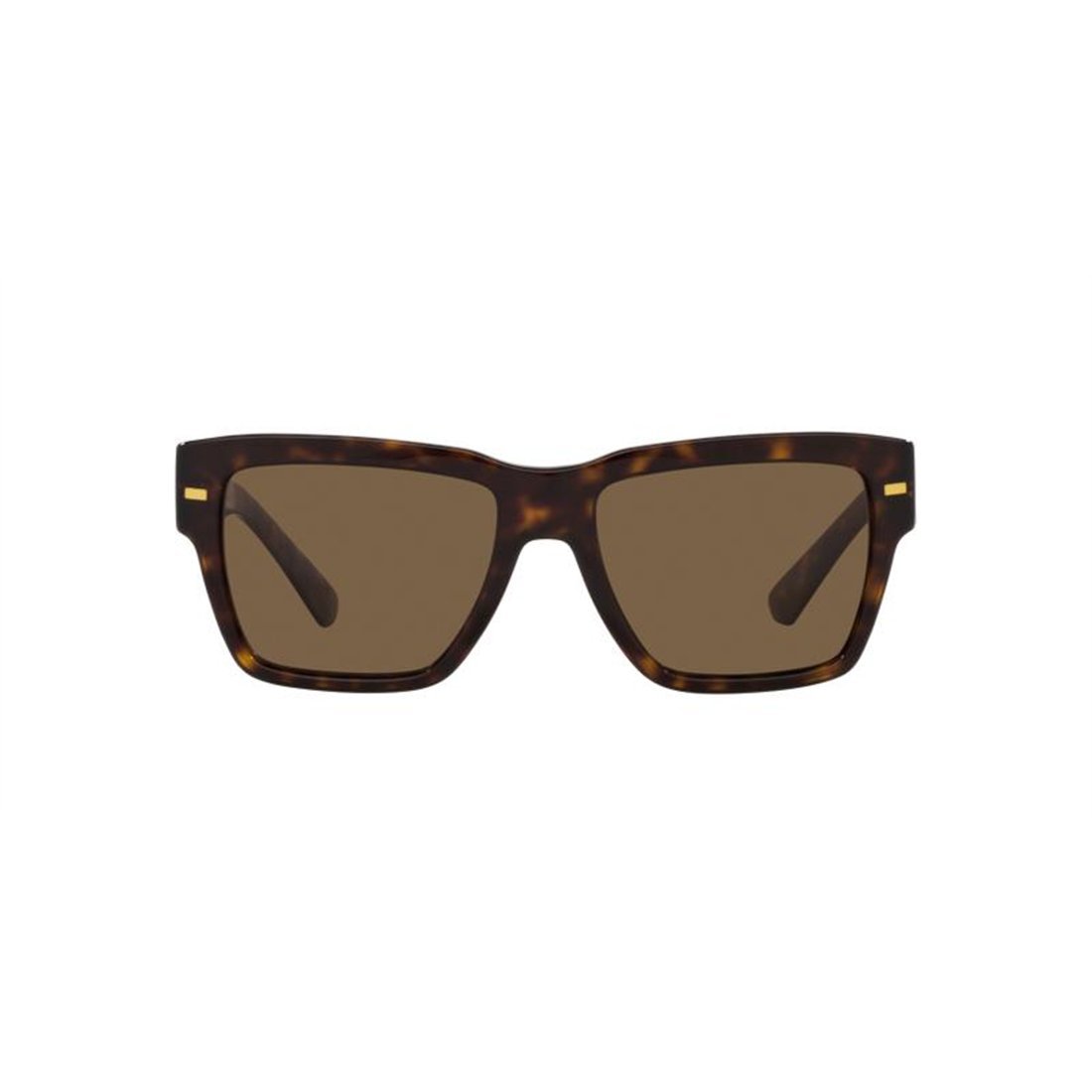 DOLCE & GABBANA Men's Stylish Acetate Sunglasses