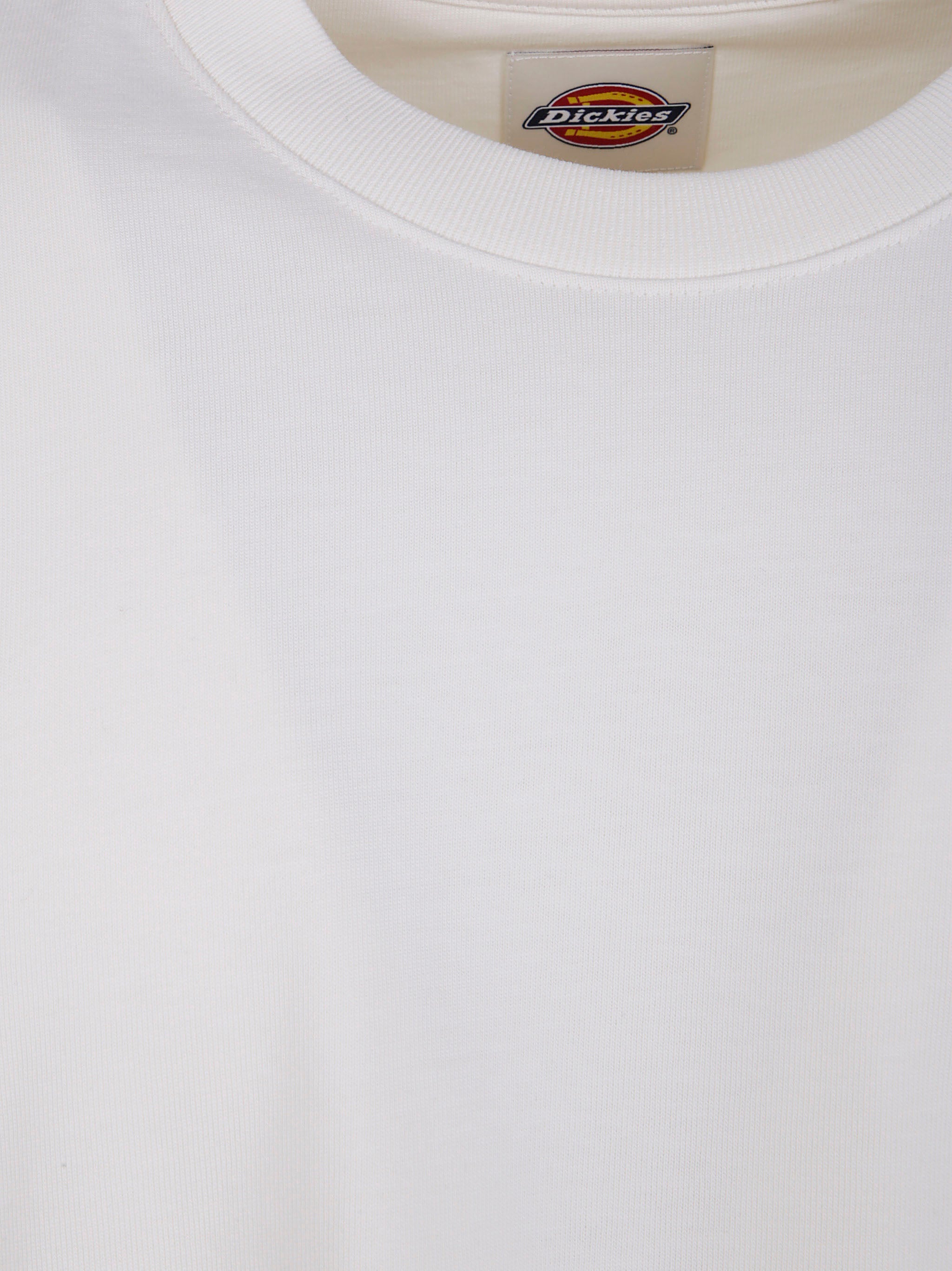 DICKIES Mineral Heavyweight Unisex Short Sleeve T-Shirt