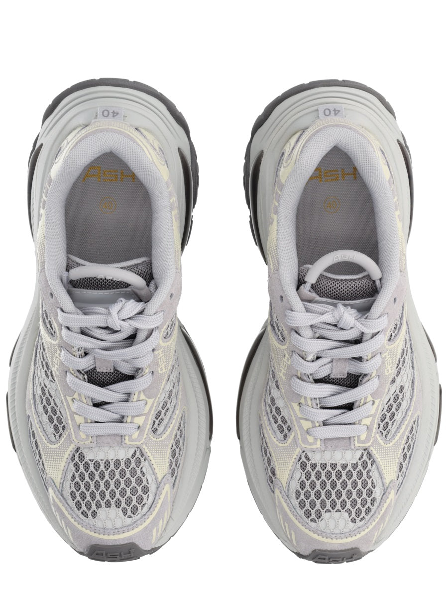 Ash Dragon Sneaker for Women