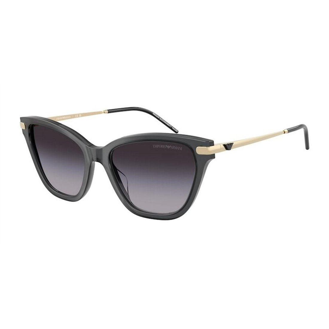 EMPORIO ARMANI Stylish Acetate Women’s Sunglasses EA4251