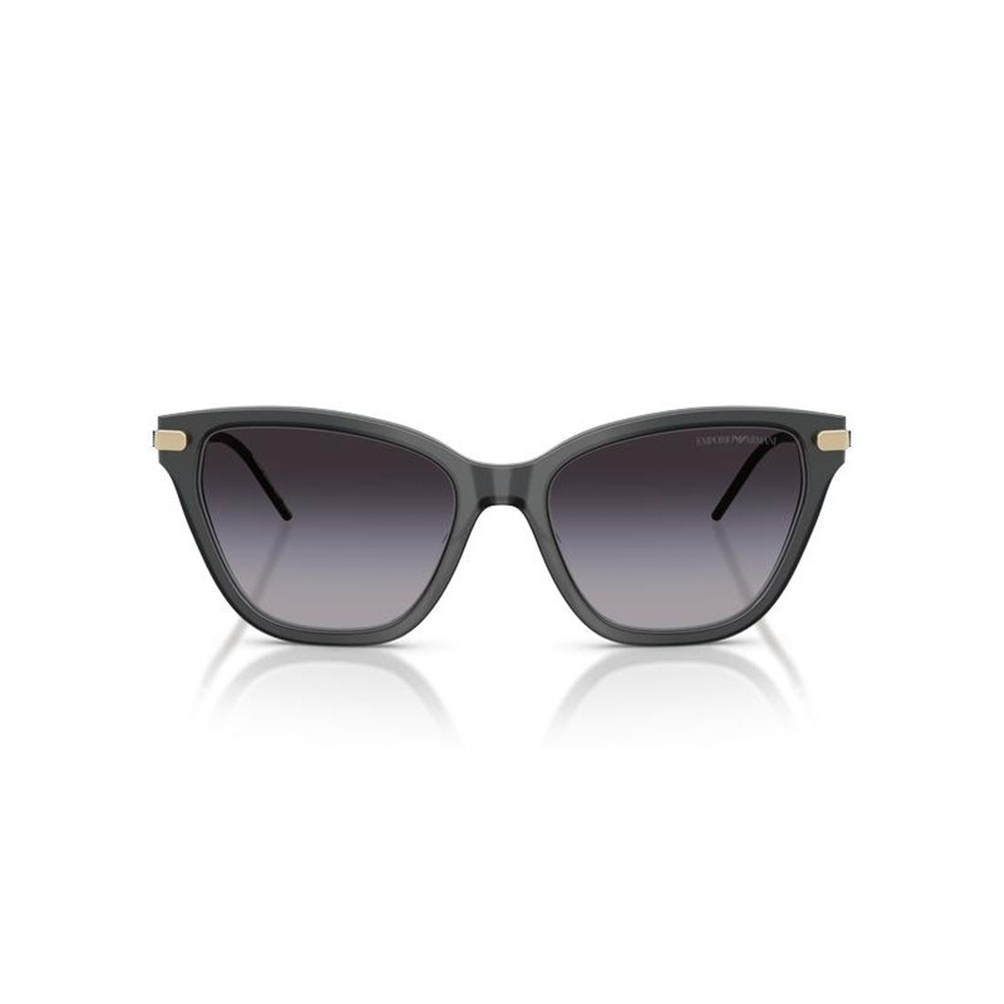 EMPORIO ARMANI Stylish Acetate Women’s Sunglasses EA4251