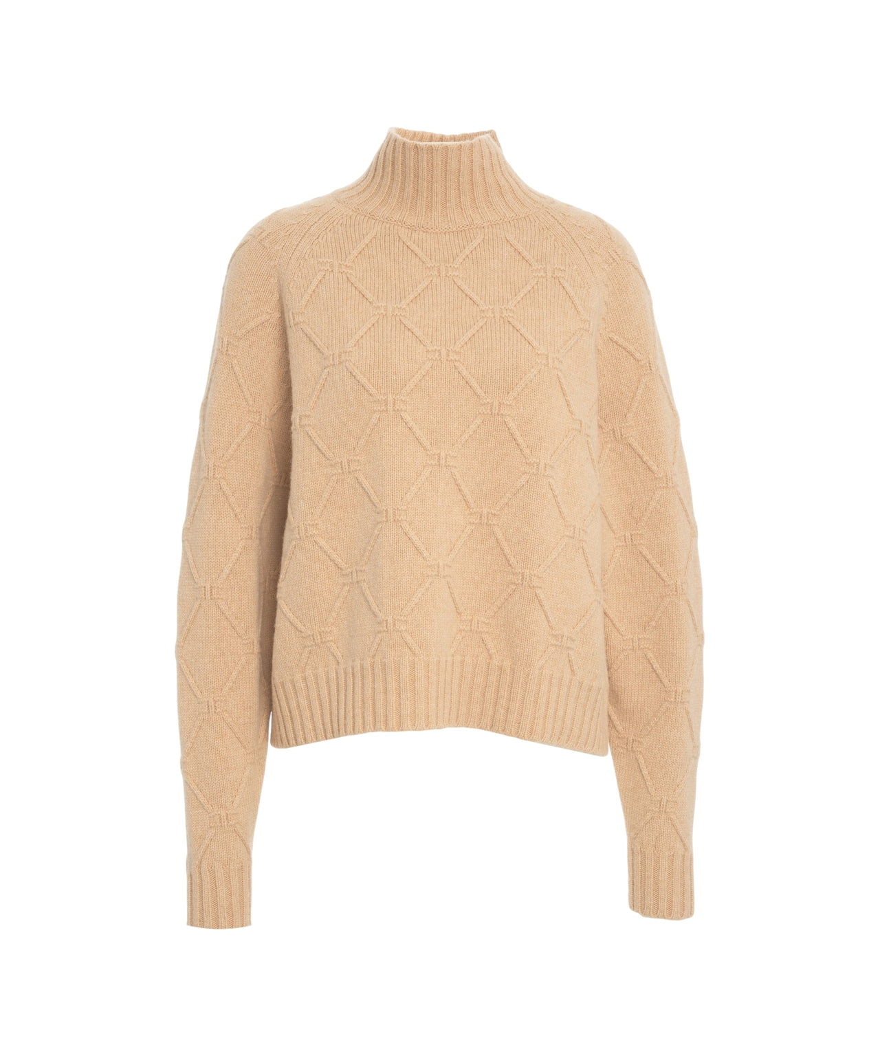ELISABETTA FRANCHI High Collar Knit Sweater