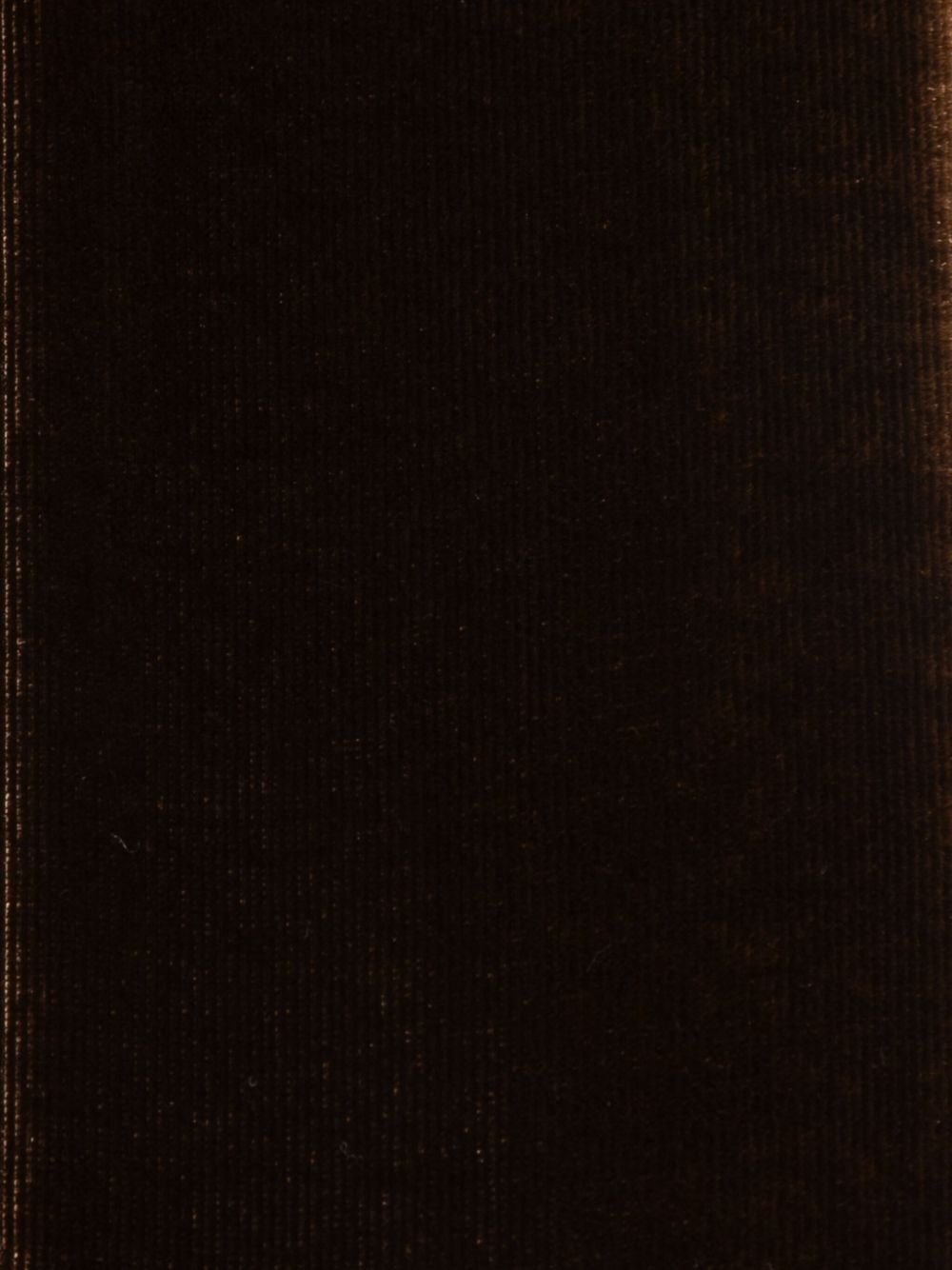 EMPORIO ARMANI Silk Blend Scarf with Velvet Texture