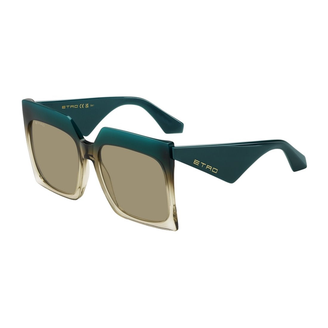 ETRO Chic Women's Acetate Sunglasses