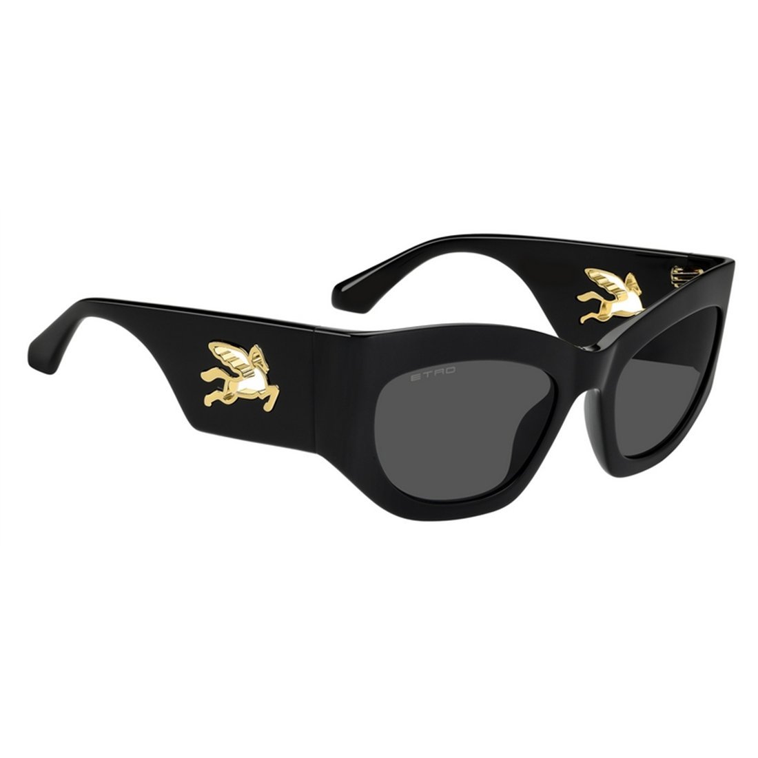 ETRO Stylish Oversized Sunglasses for Women