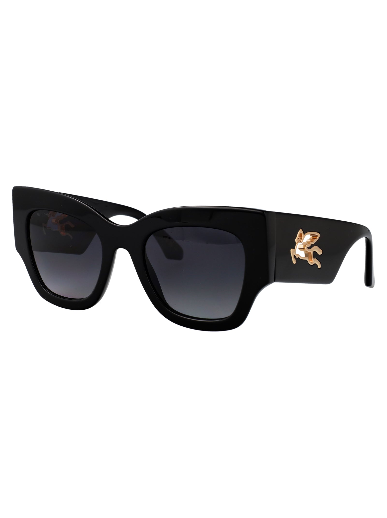 ETRO Fashionable Acetate Sunglasses for Women - SS25 Collection