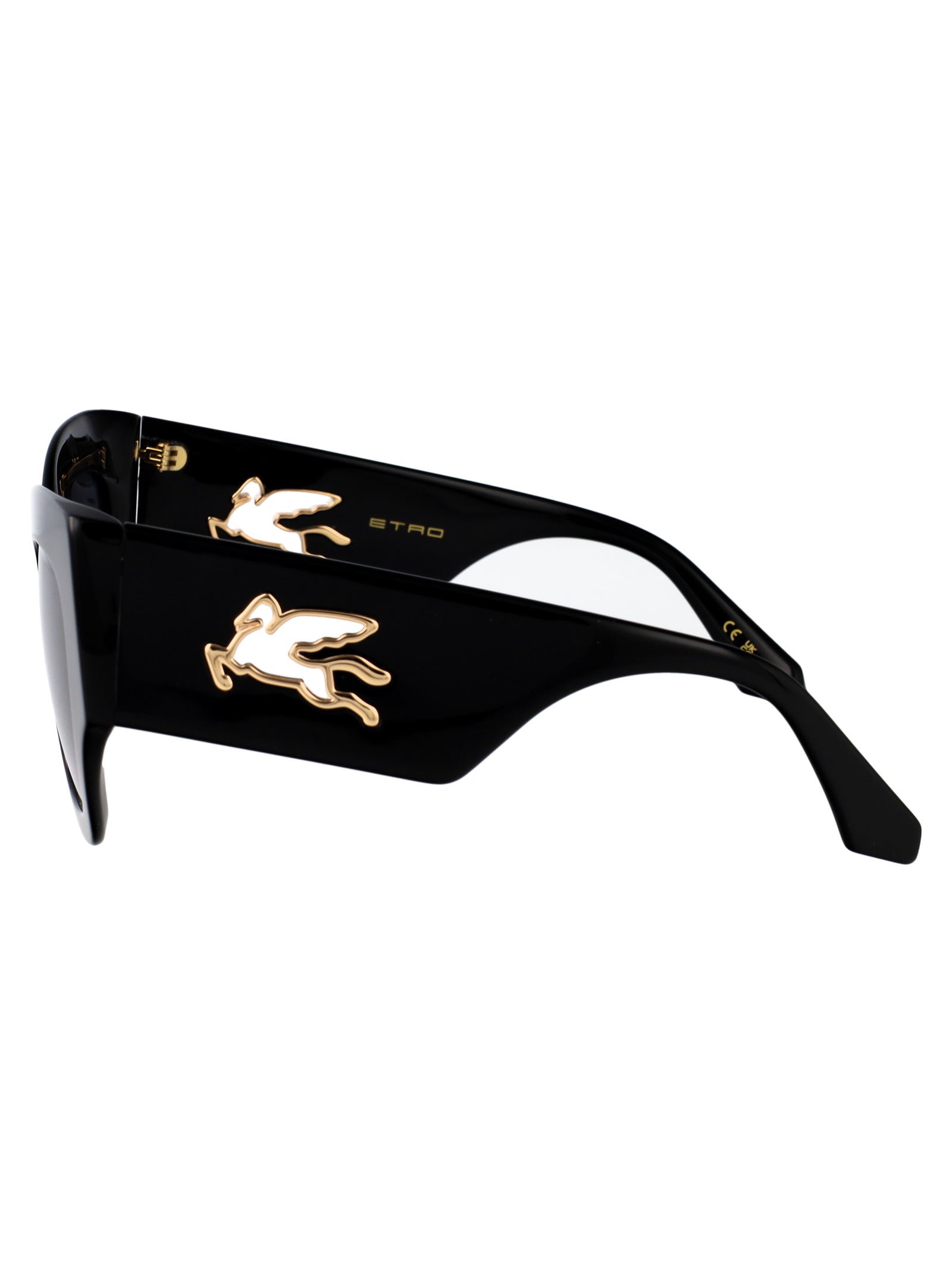 ETRO Fashionable Acetate Sunglasses for Women - SS25 Collection