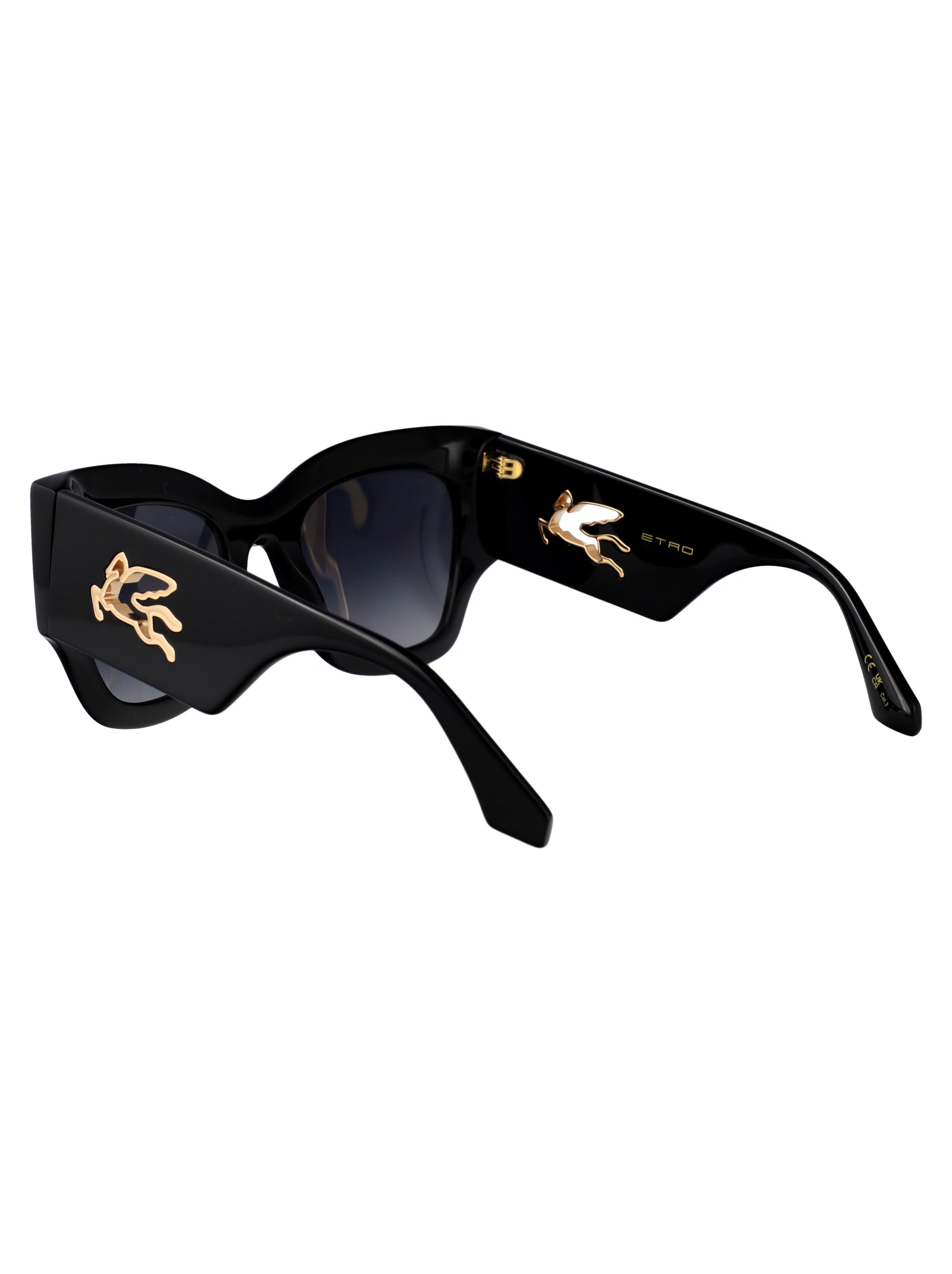 ETRO Fashionable Acetate Sunglasses for Women - SS25 Collection
