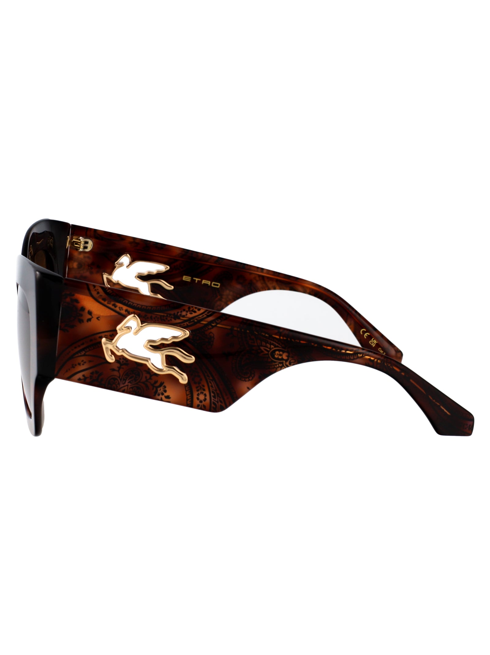 ETRO Pattern Havana Acetate Sunglasses for Women