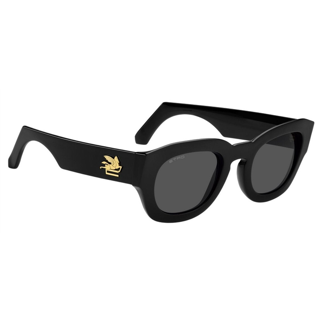 ETRO Unisex Acetate Sunglasses with Modern Design