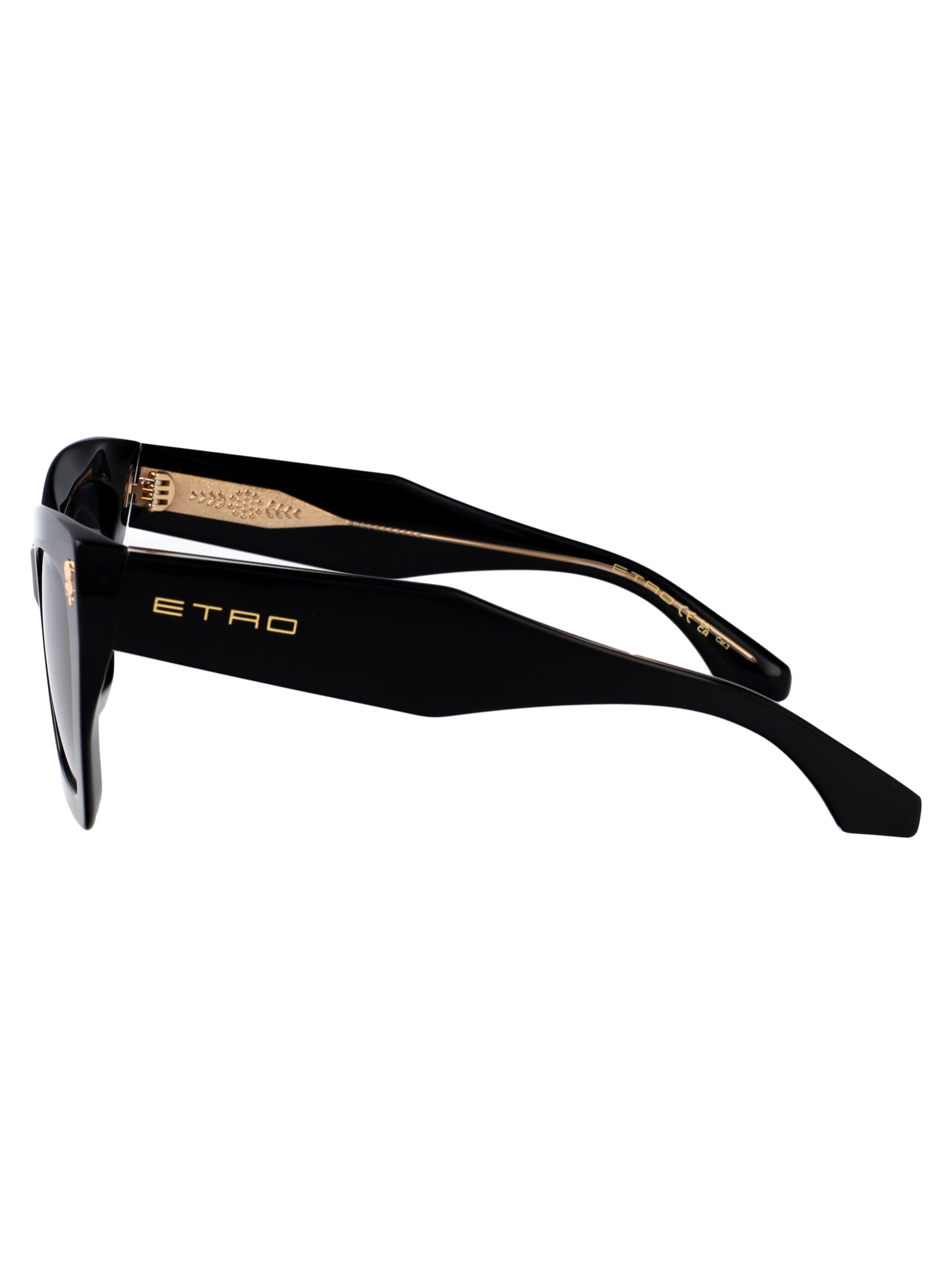 ETRO Chic Acetate Sunglasses for Women