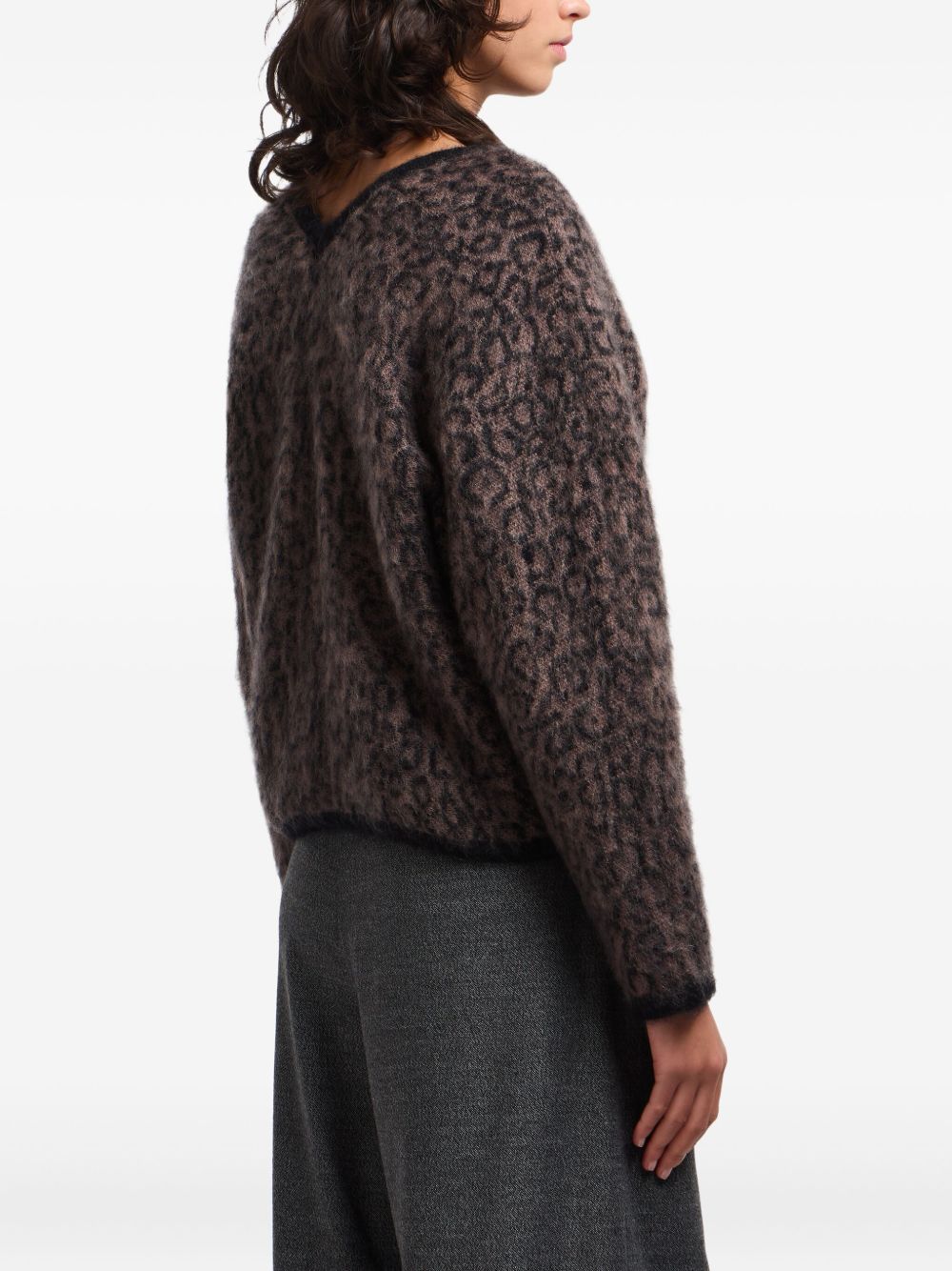 EMPORIO ARMANI Leopard V-Neck Sweater for Women