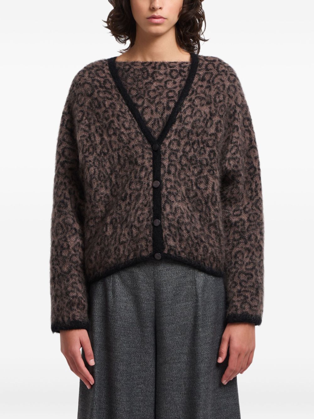 EMPORIO ARMANI Leopard V-Neck Sweater for Women