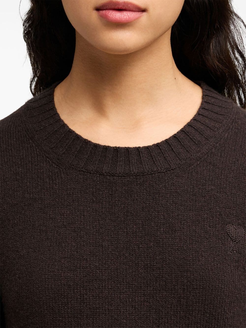 AMI PARIS Slim Tonal ADC Sweater