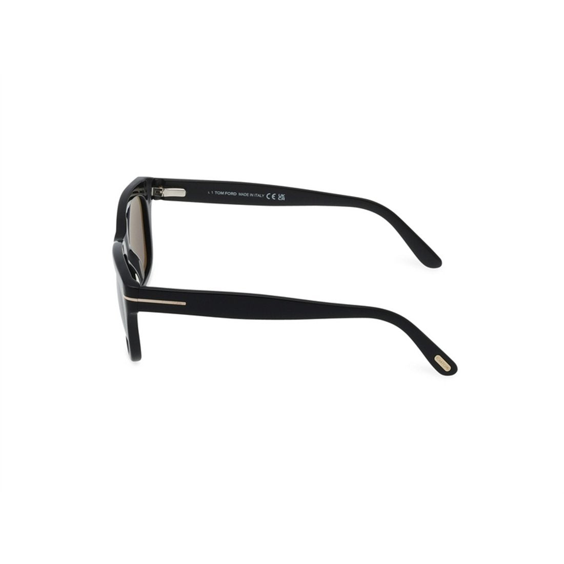 TOM FORD Stylish Snowdon Polarized Sunglasses