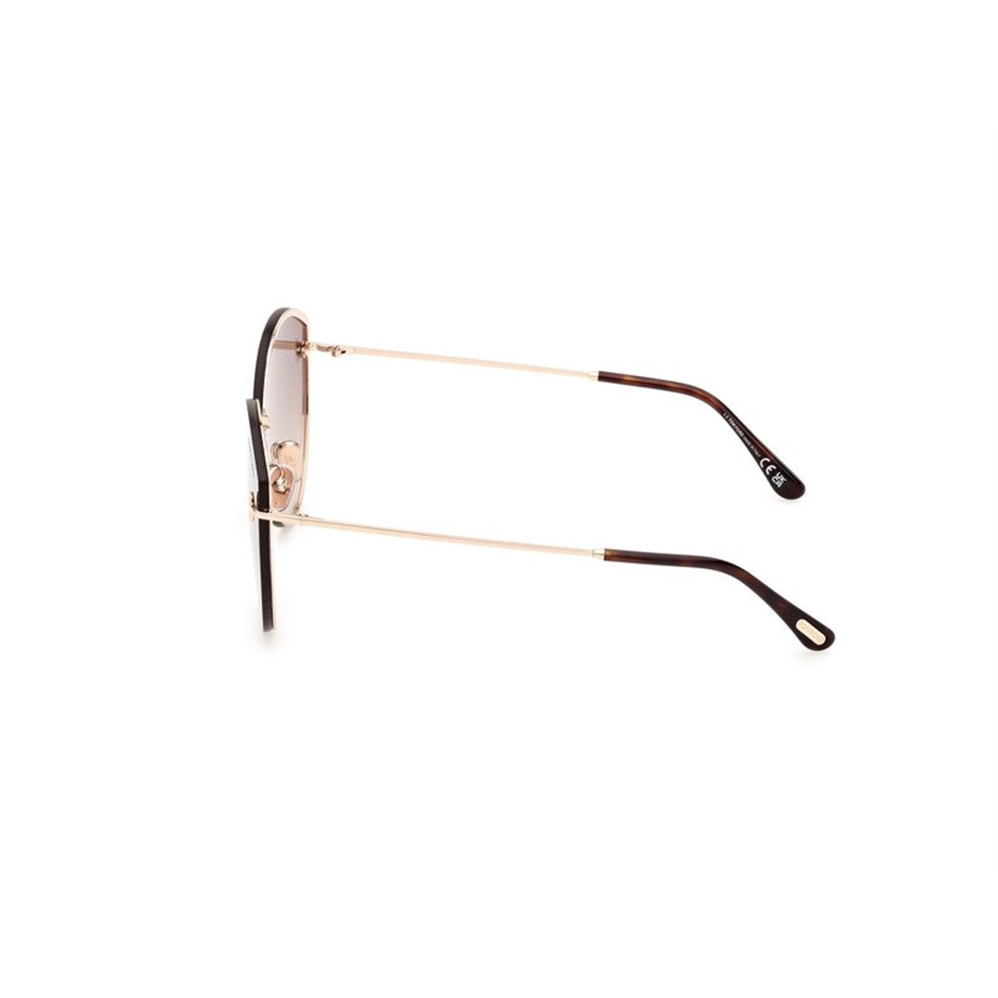 TOM FORD Evangeline FT1106 Sunglasses for Men