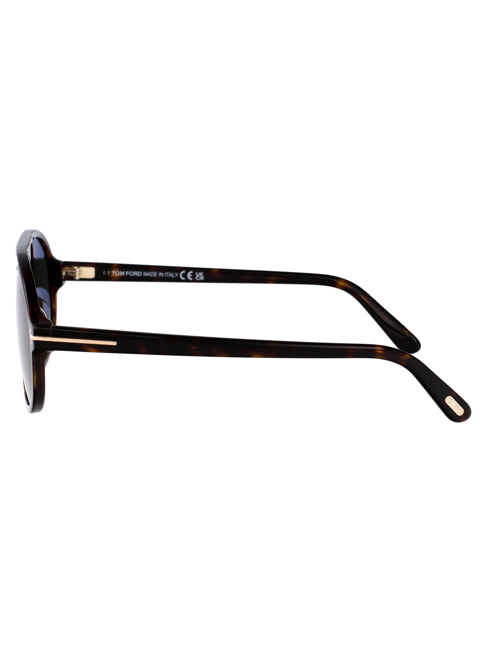 TOM FORD Acetate Sunglasses for Women