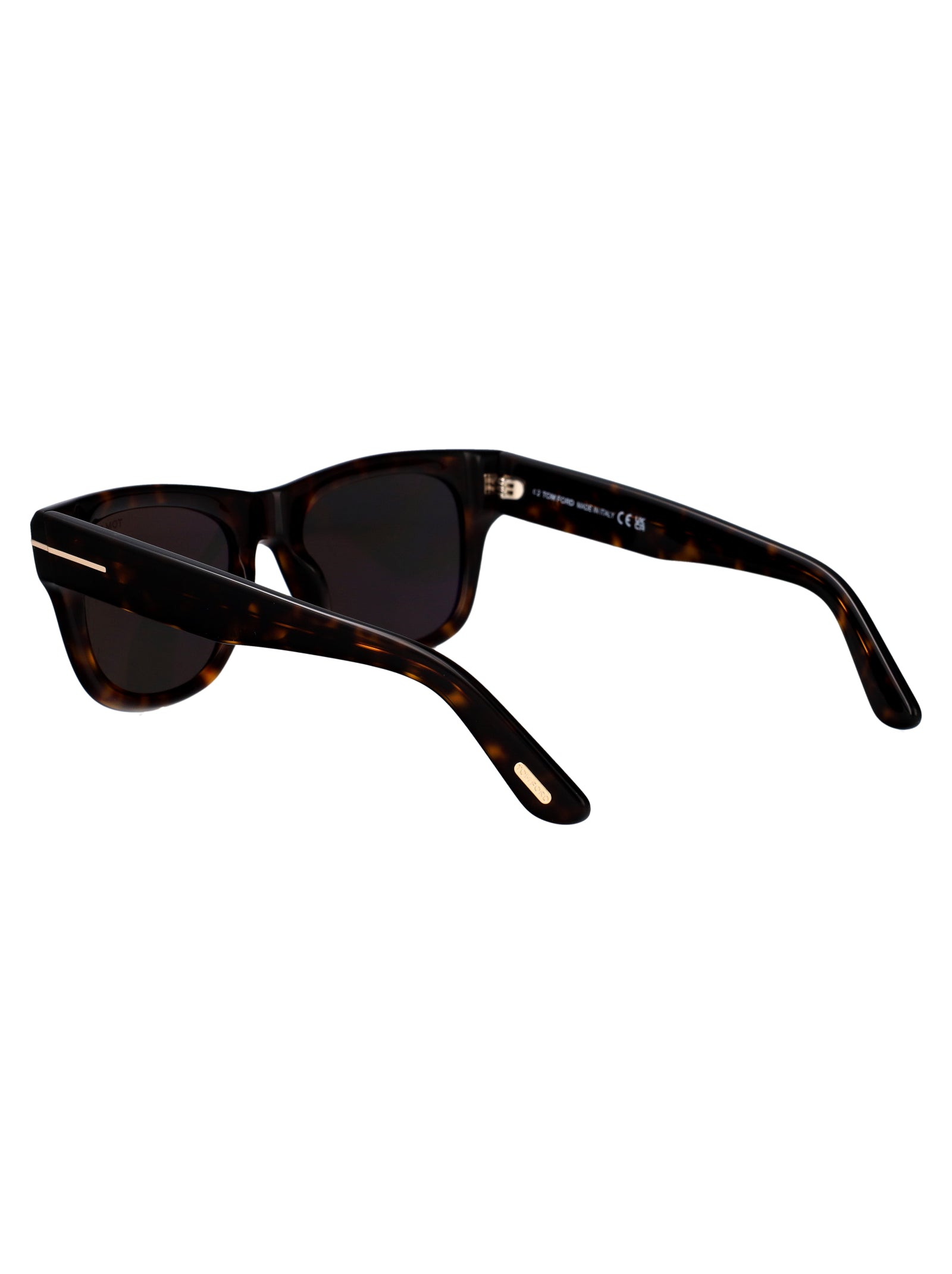 TOM FORD Acetate Sunglasses for Men - FW25 Collection