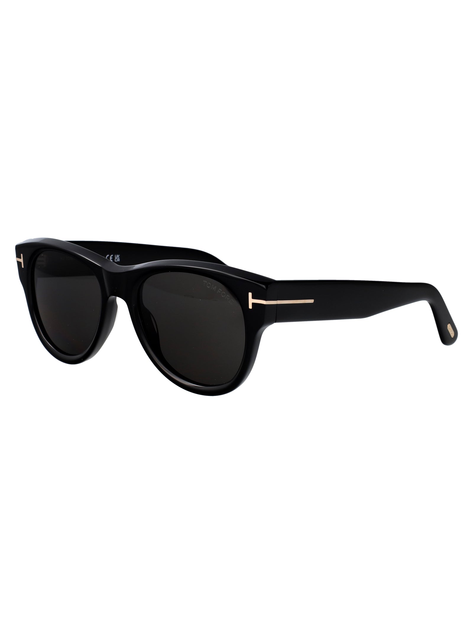 TOM FORD Contemporary Acetate Sunglasses for Men