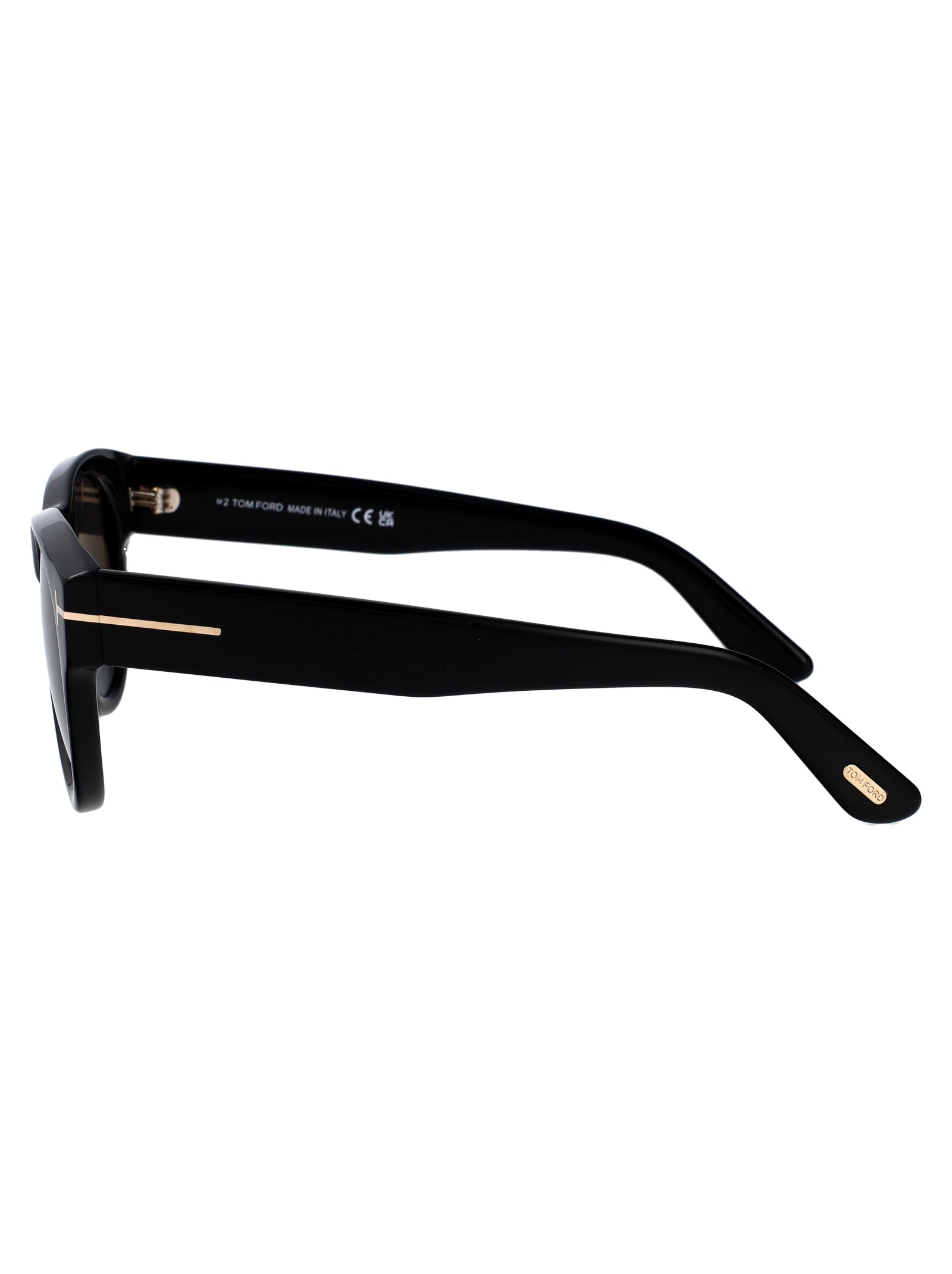 TOM FORD Contemporary Acetate Sunglasses for Men