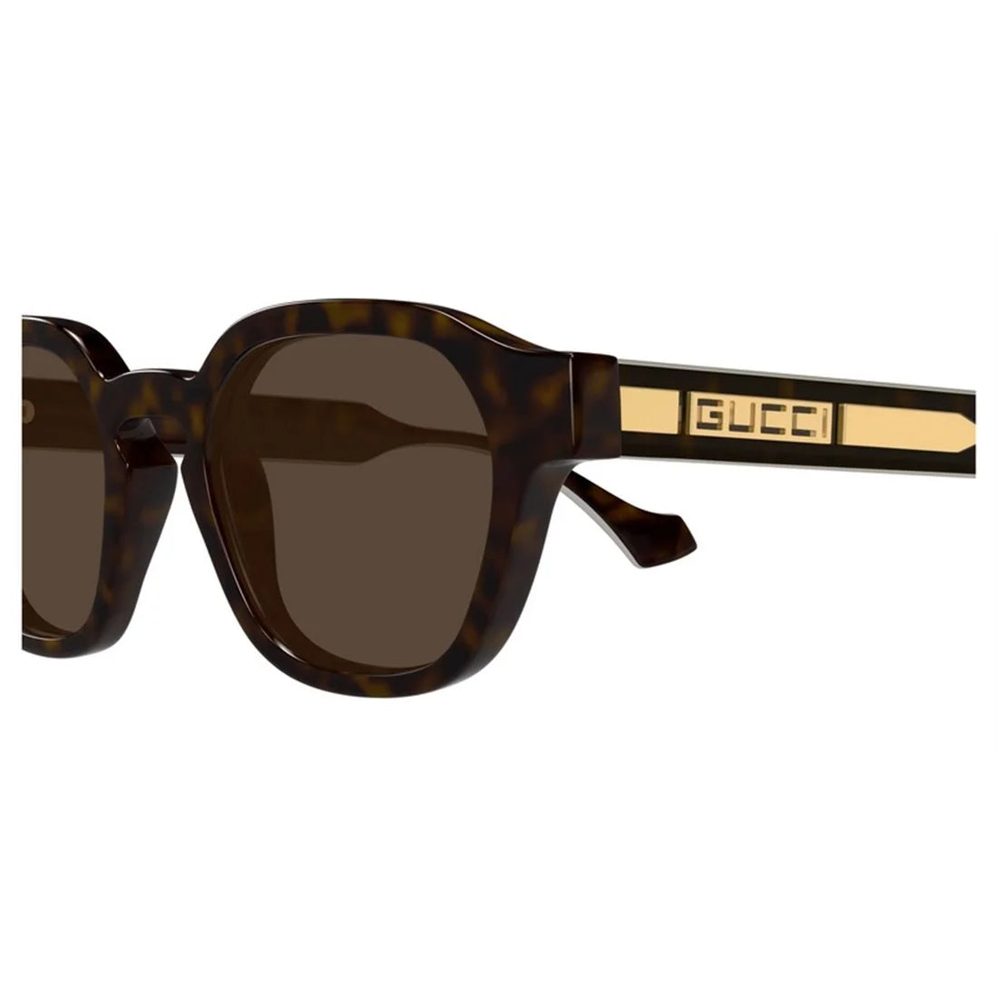GUCCI Men's Classic Acetate Sunglasses