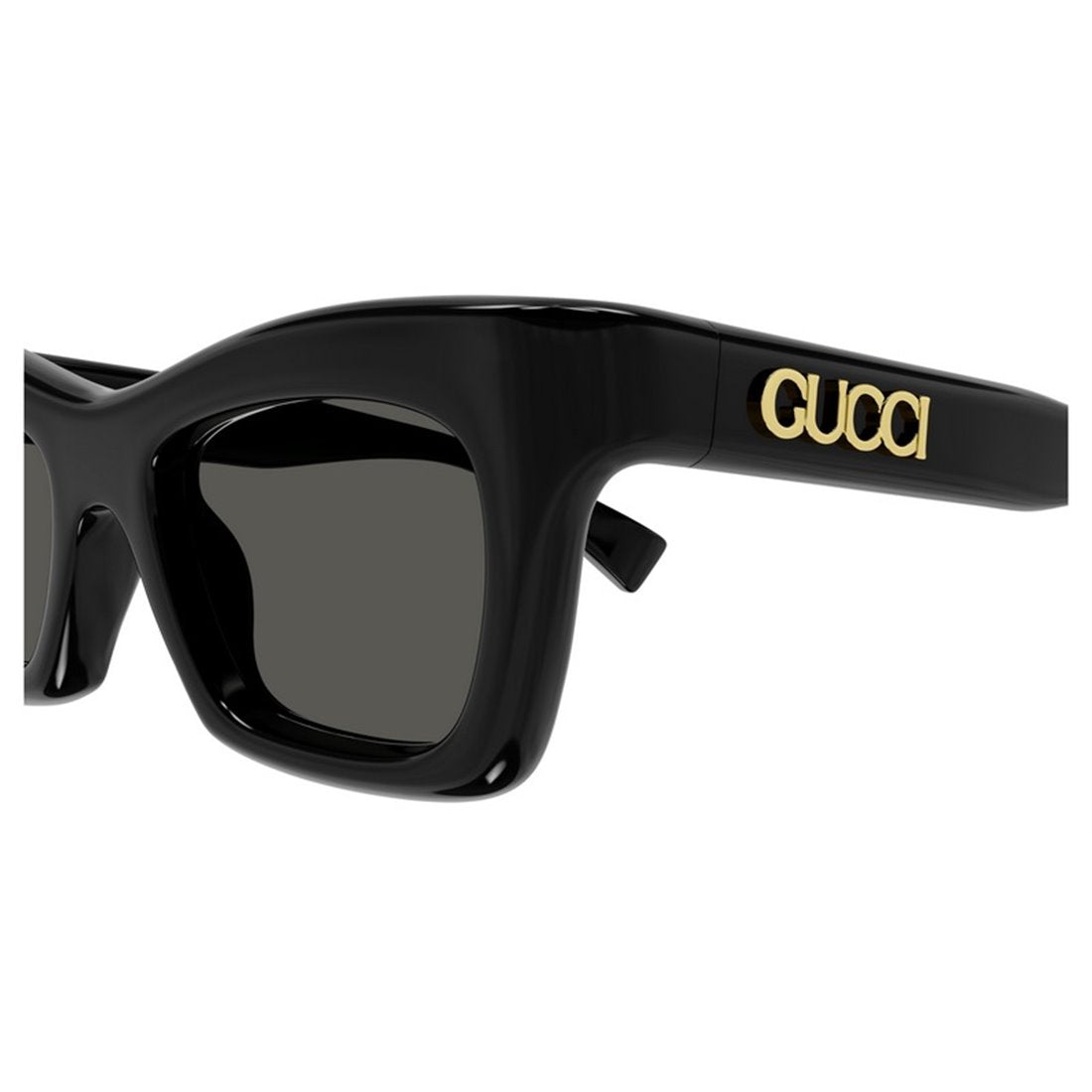 GUCCI Acetate Women’s Sunglasses - GG1773S Model