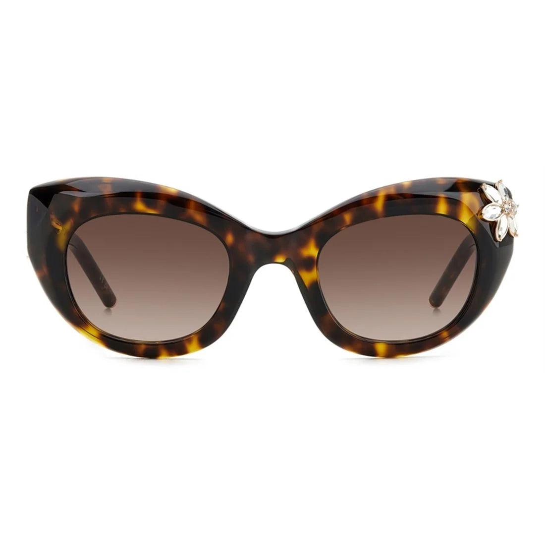 CAROLINA HERRERA Chic Oversized Women's Sunglasses