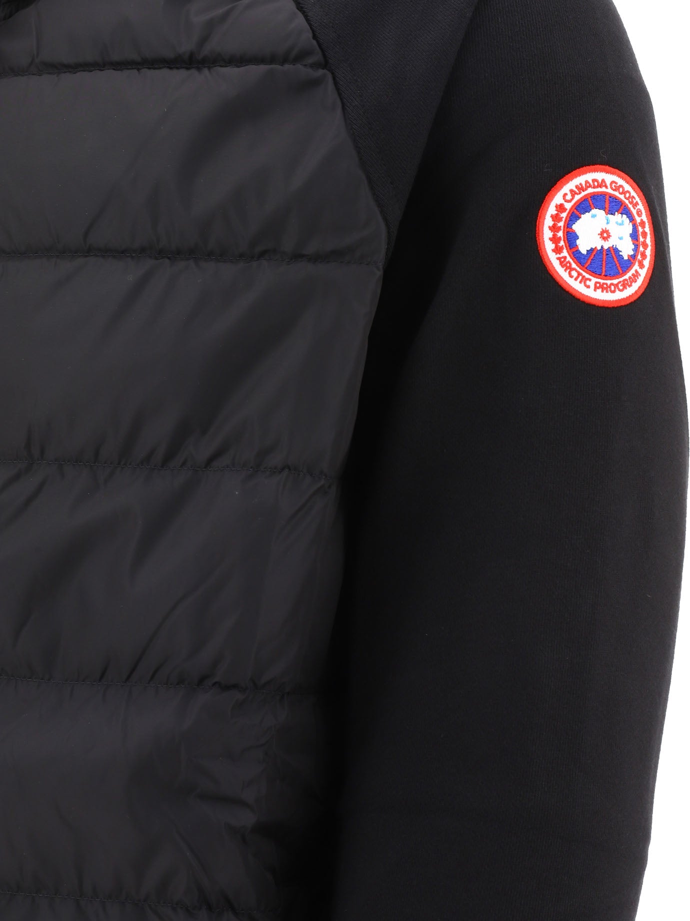 CANADA GOOSE Men's Cotton Down and Feathers Full Zip Hoody