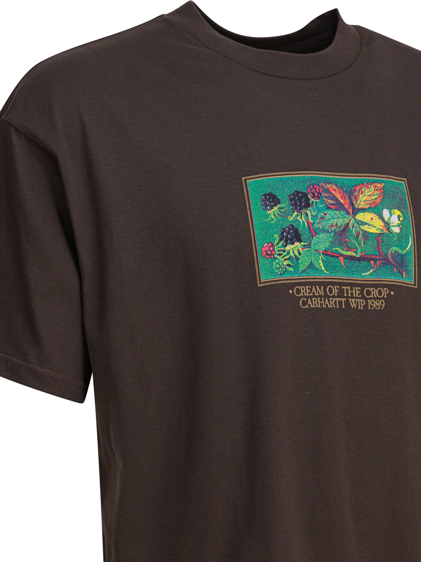 CARHARTT WIP Classic Regular Fit S/S T-Shirt