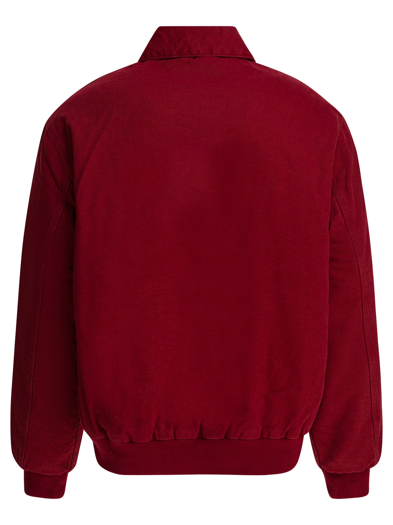 CARHARTT WIP Men's Cotton Jacket - Fall/Winter 2025