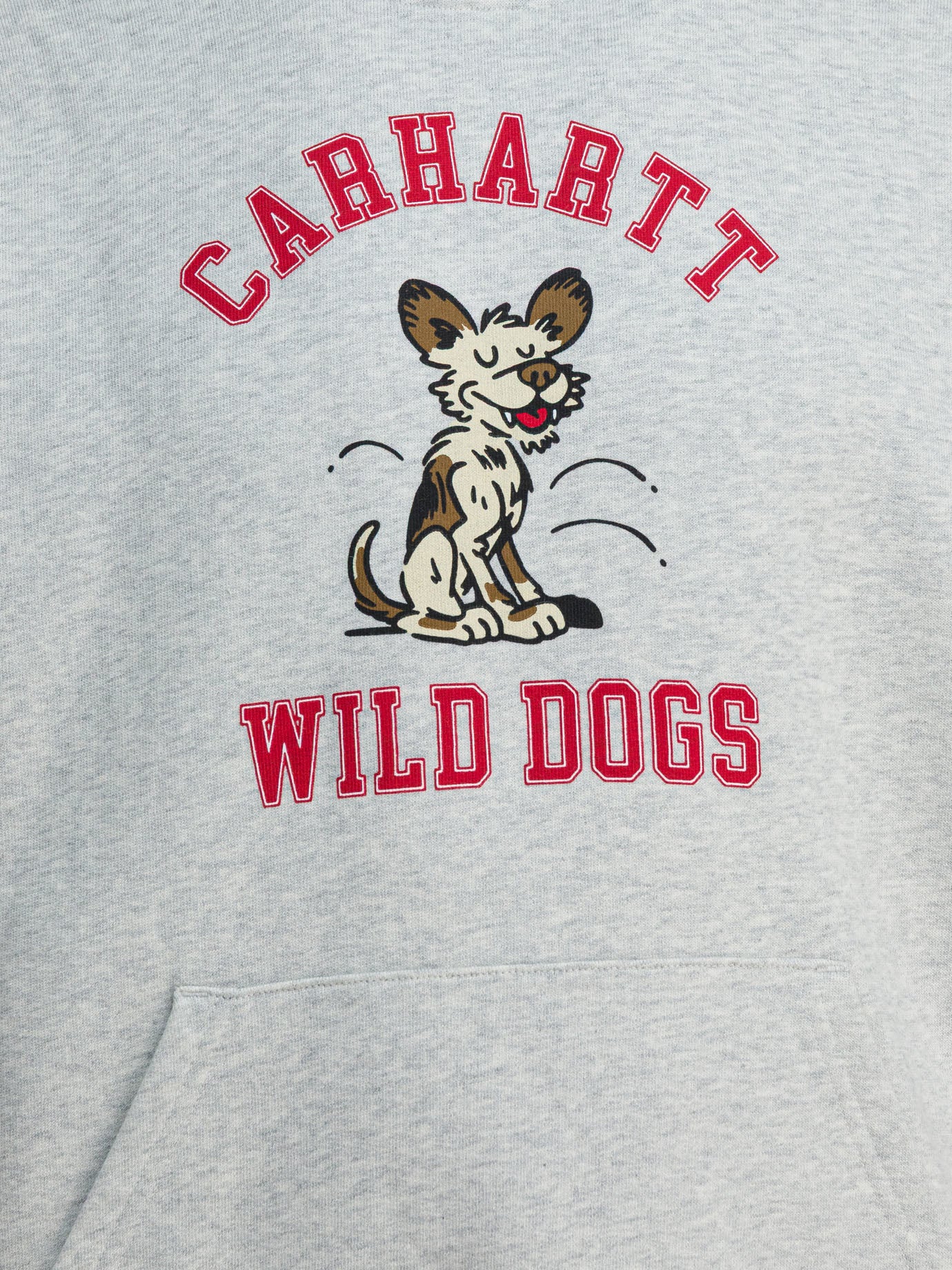 CARHARTT WIP Wild Dog Hooded Sweatshirt for Men - FW25