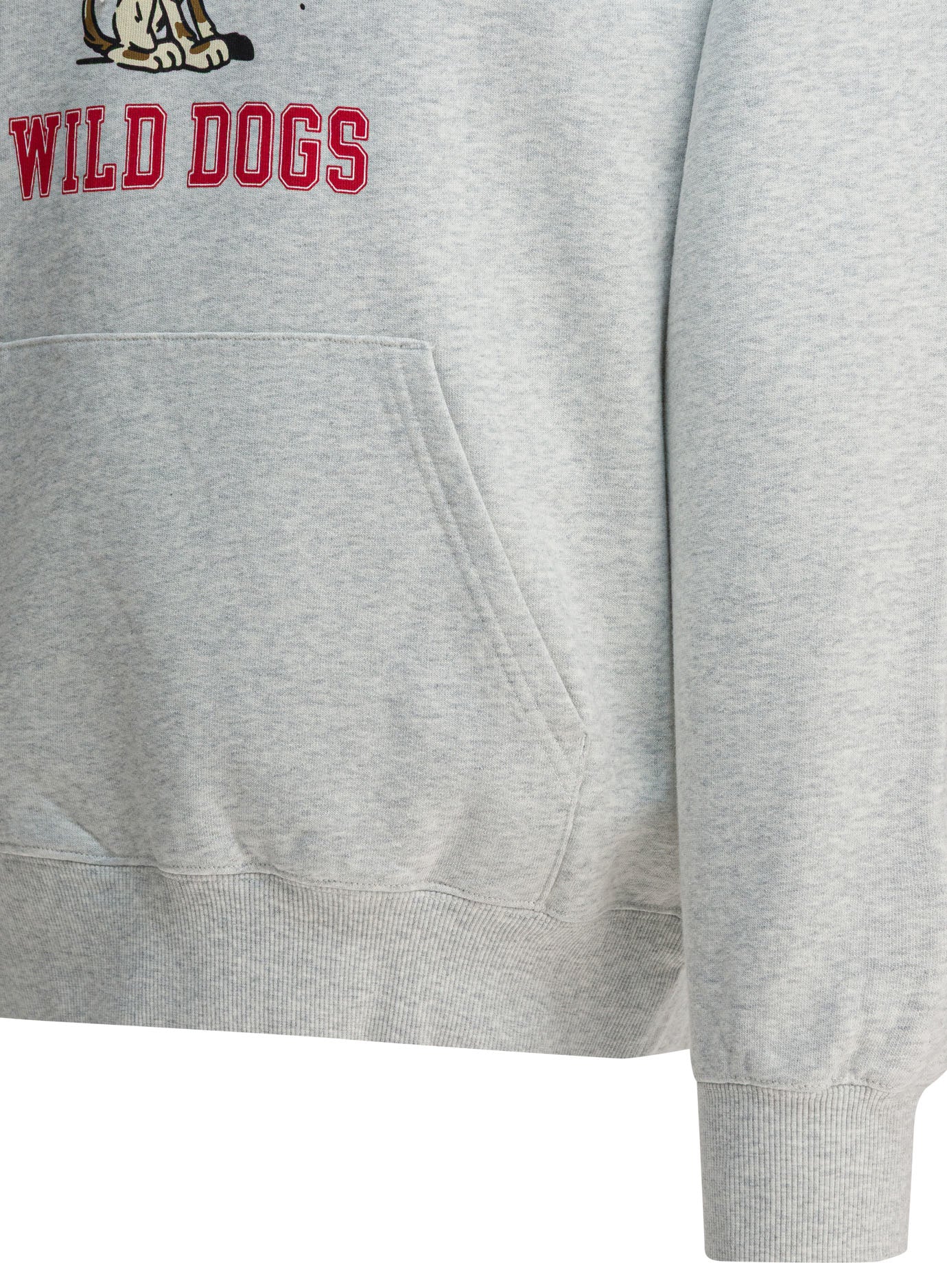 CARHARTT WIP Wild Dog Hooded Sweatshirt for Men - FW25