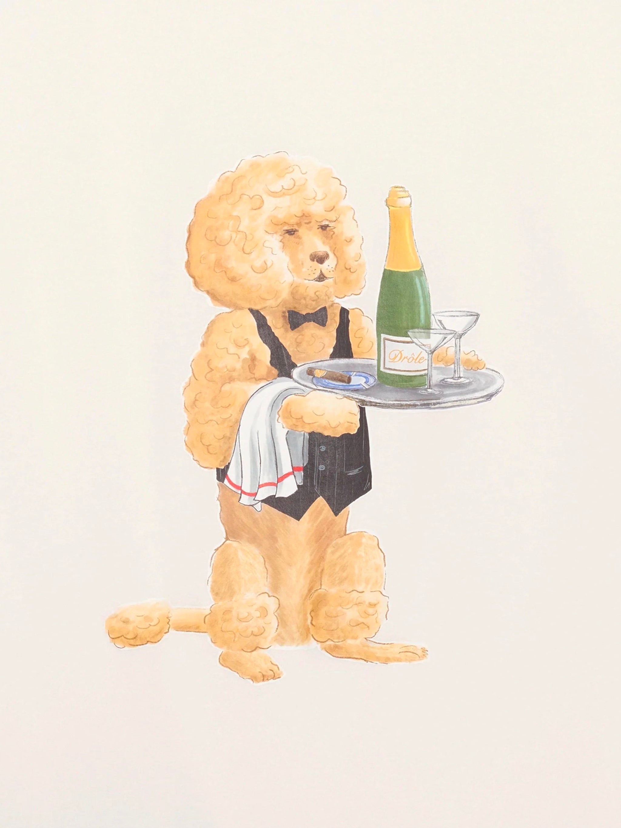 DRÔLE DE MONSIEUR Poodle Print Men's T-Shirt - Size M