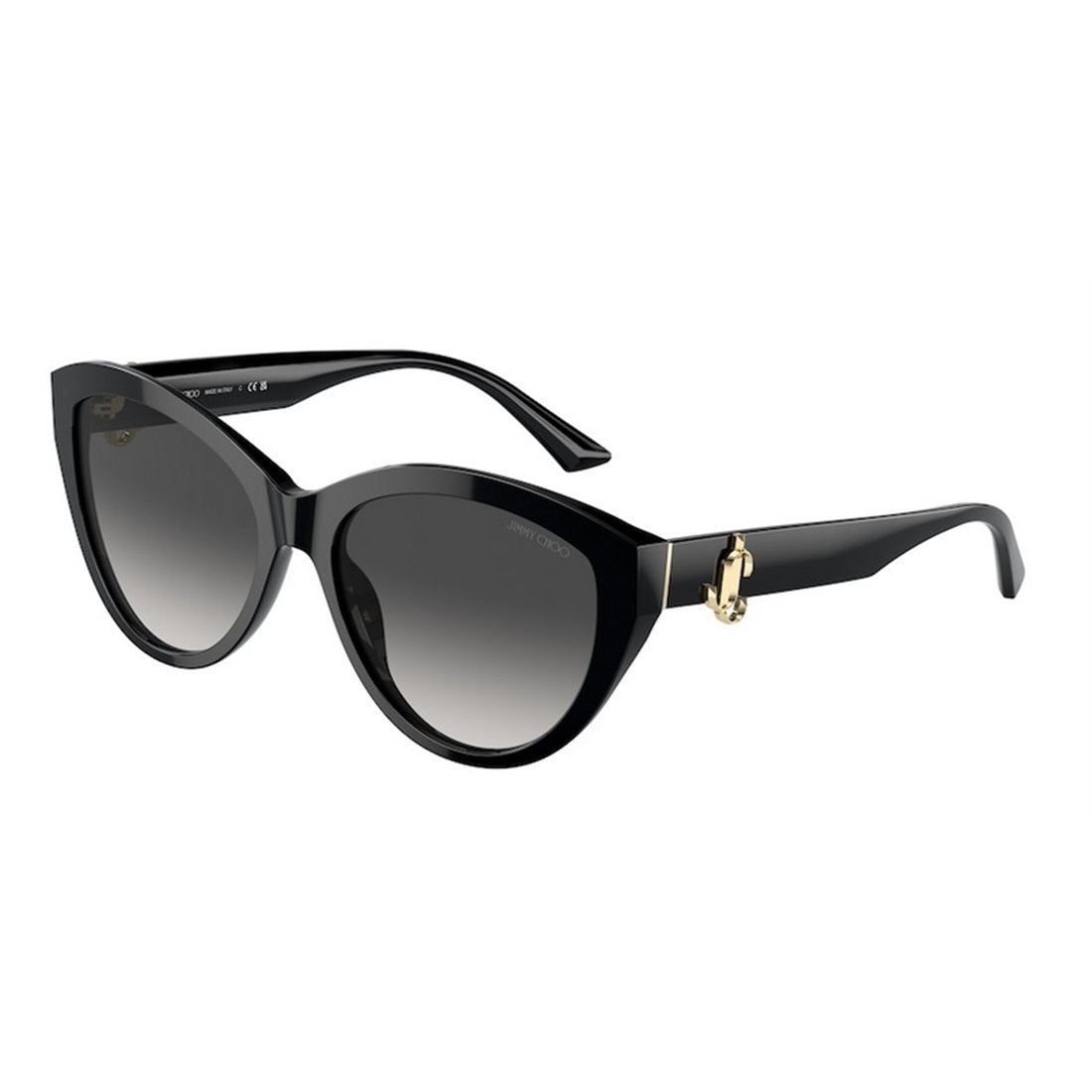 JIMMY CHOO Chic Women's Oversized Sunglasses - JC5007