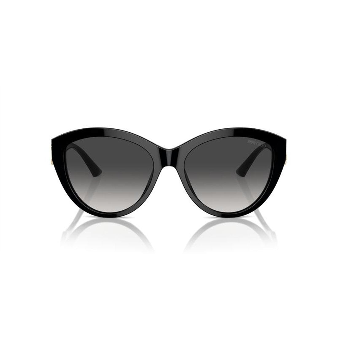 JIMMY CHOO Chic Women's Oversized Sunglasses - JC5007