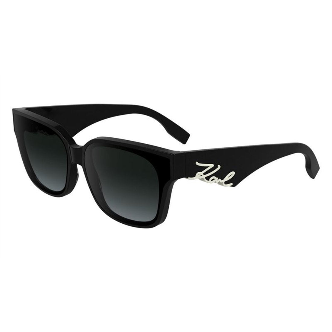 KARL LAGERFELD Chic Women's Sunglasses - KL6161S 001