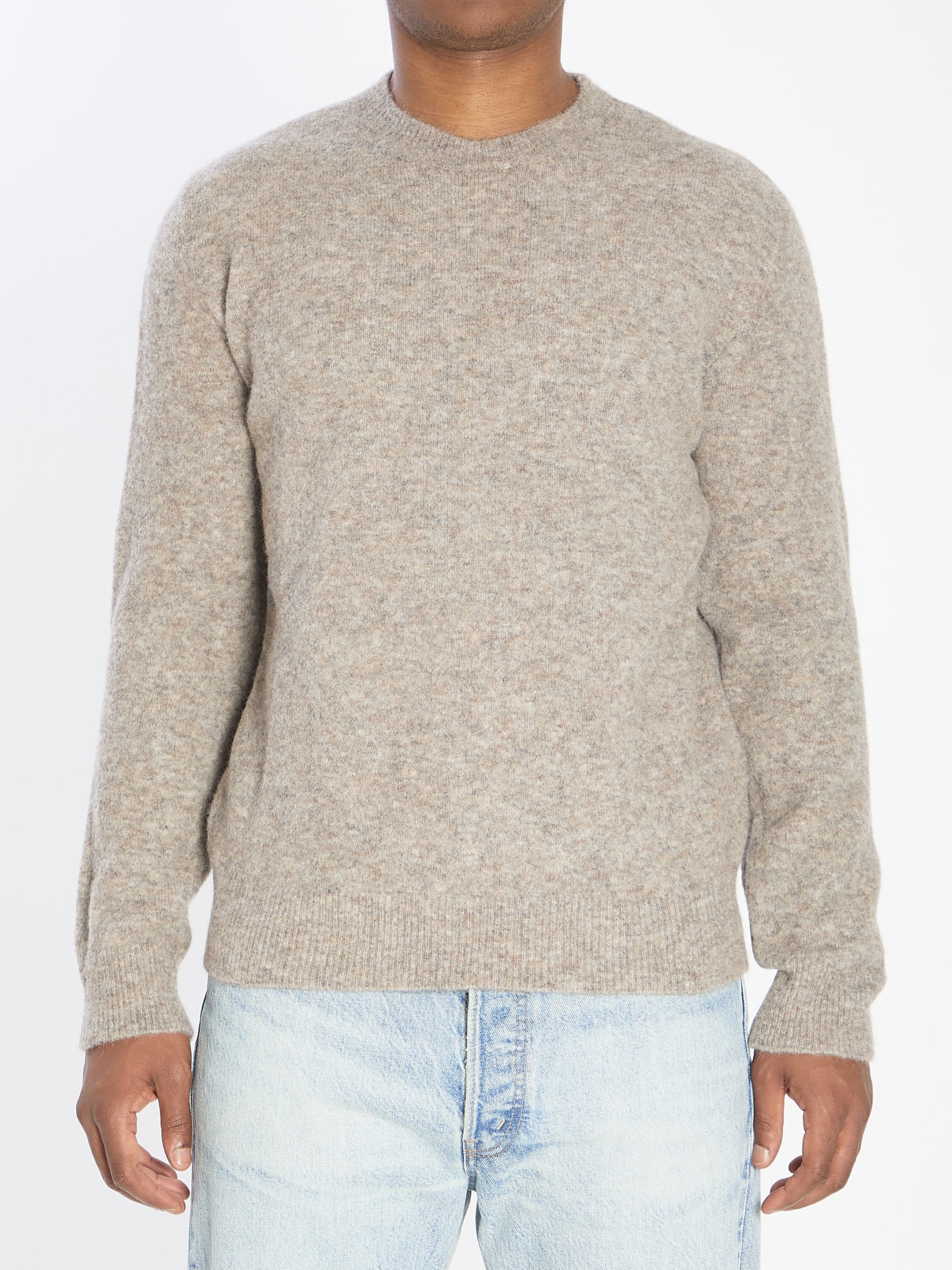 BARENA Regular Fit Crew Neck Sweater